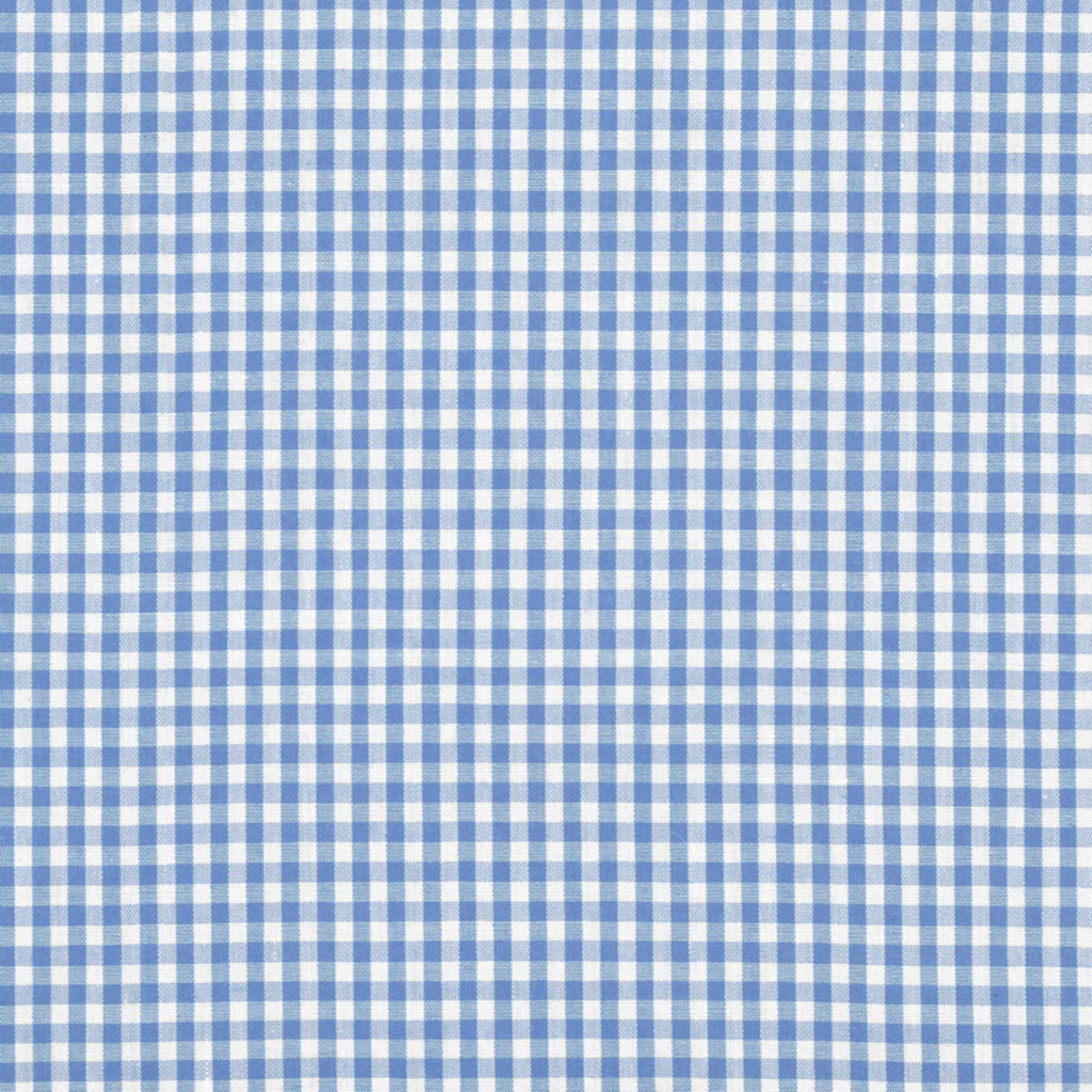 1/8" Blue Gingham